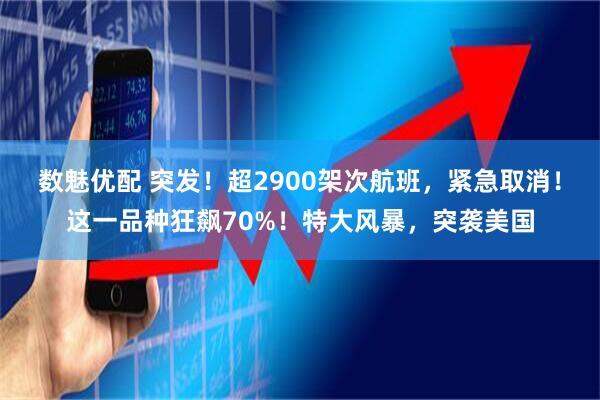 数魅优配 突发！超2900架次航班，紧急取消！这一品种狂飙70%！特大风暴，突袭美国