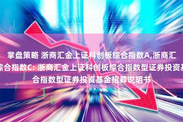 掌盘策略 浙商汇金上证科创板综合指数A,浙商汇金上证科创板综合指数C: 浙商汇金上证科创板综合指数型证券投资基金招募说明书