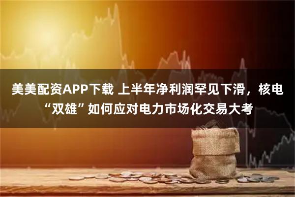 美美配资APP下载 上半年净利润罕见下滑，核电“双雄”如何应对电力市场化交易大考